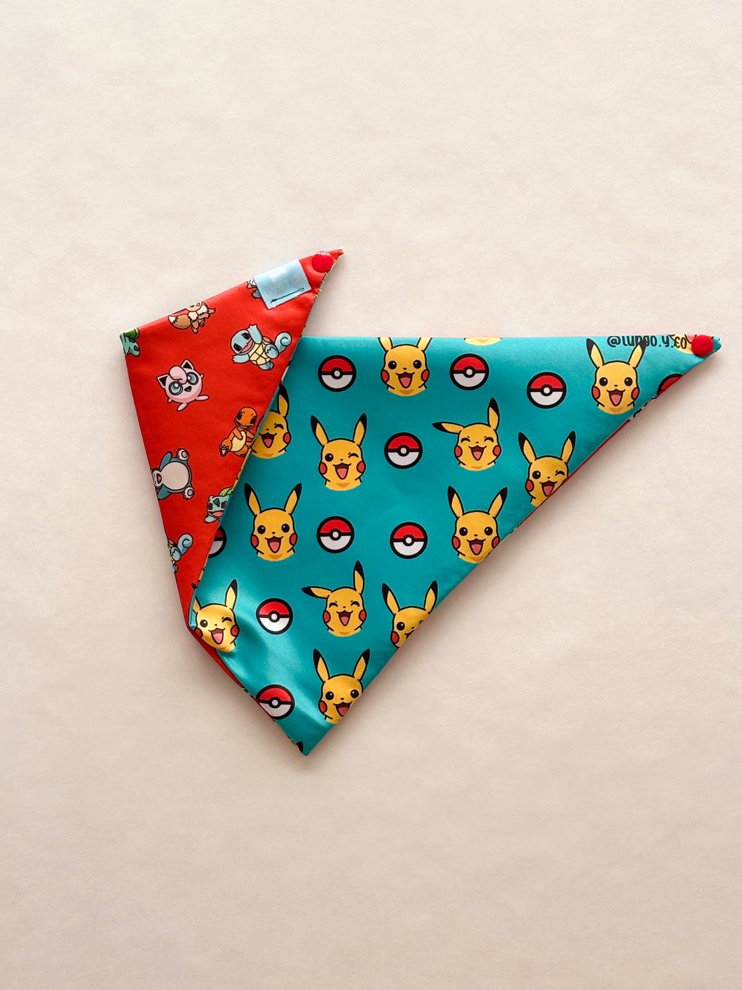Pocket Monsters