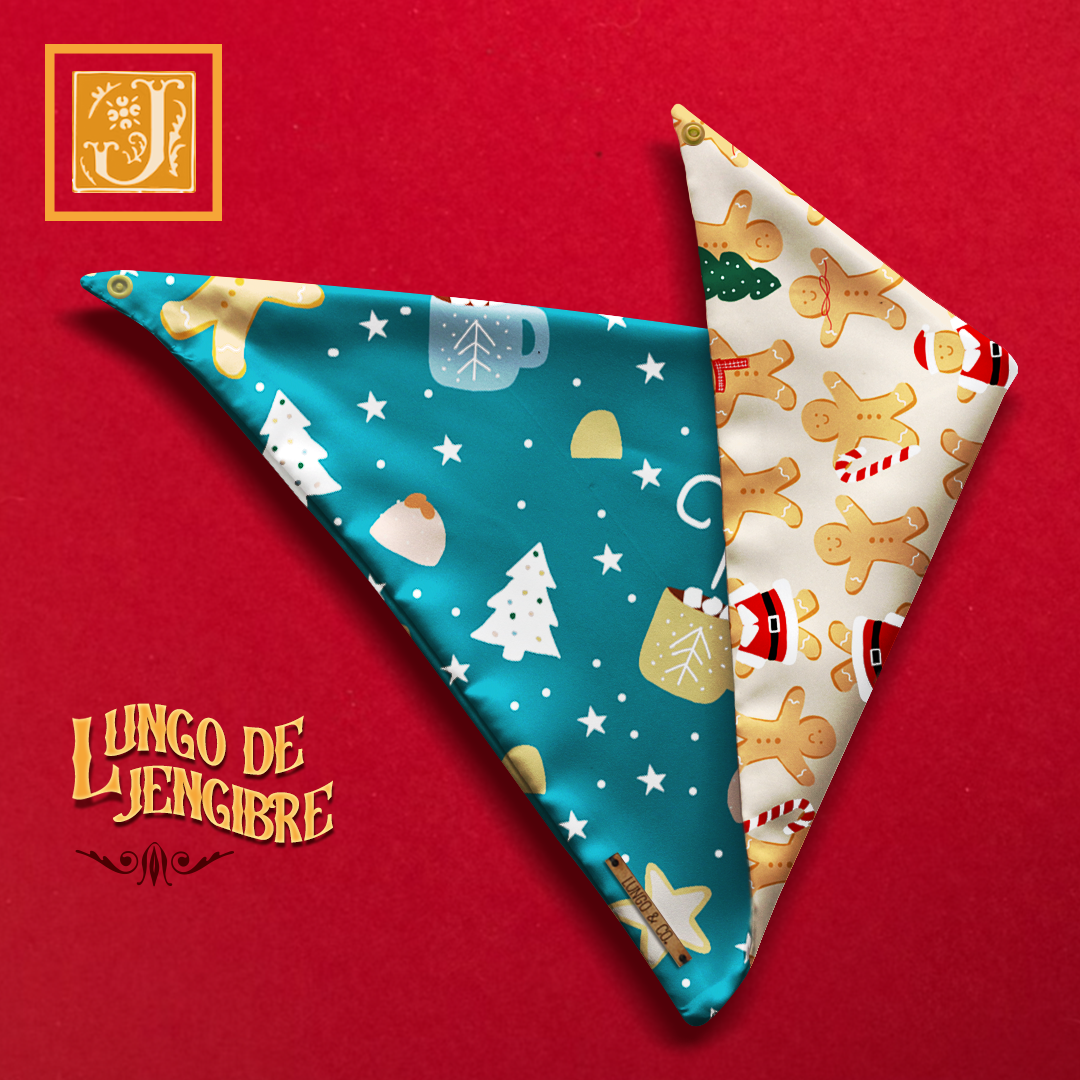Lungo de Jengibre