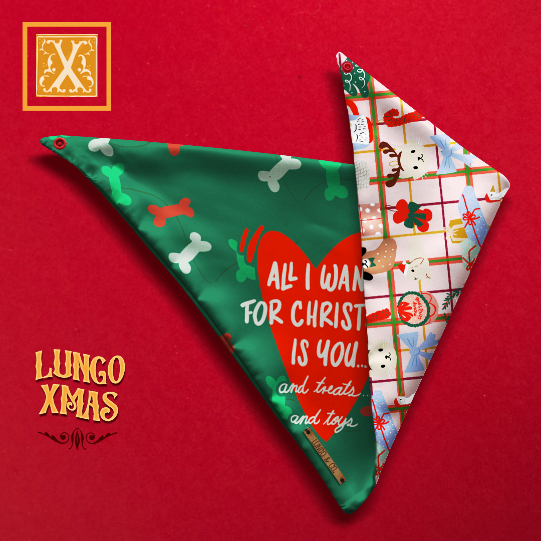 Lungo Xmas